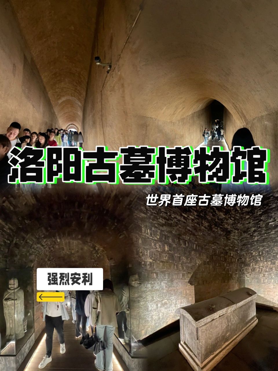 小众景点6015洛阳古墓博物馆 真的很值得去 说在前面6015个人