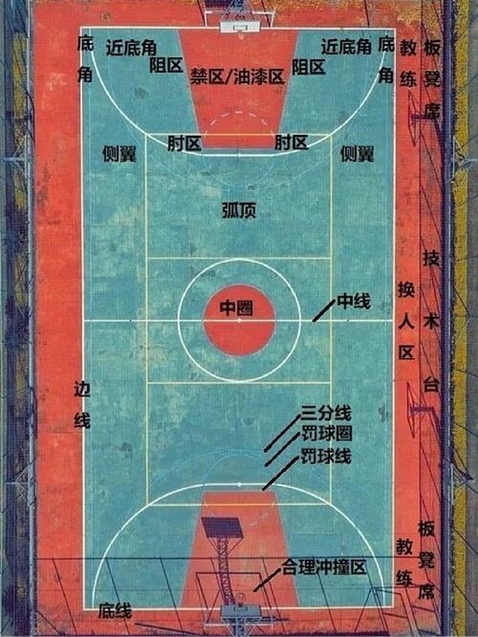 篮球位置的分工图图片