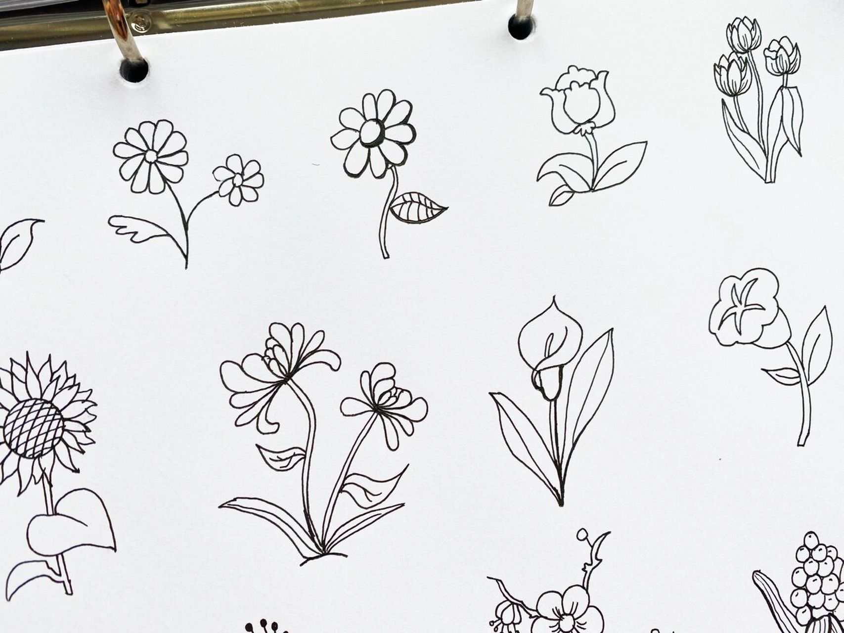 画画吧96 28种简笔花 收藏起来,以后会用到 适用于各种手抄报及手帐