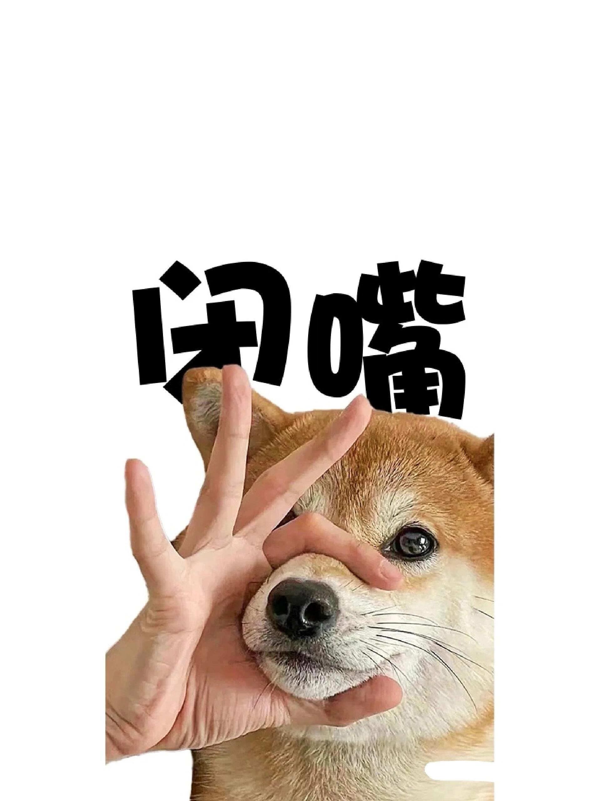 闭嘴 屏保 实景真实反正上班时的感受
