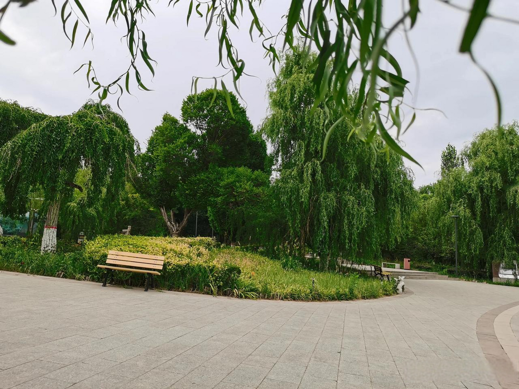 新疆乌鲁木齐大绿谷公园,大绿谷公园的湿地花园位于大绿谷东北方向,其