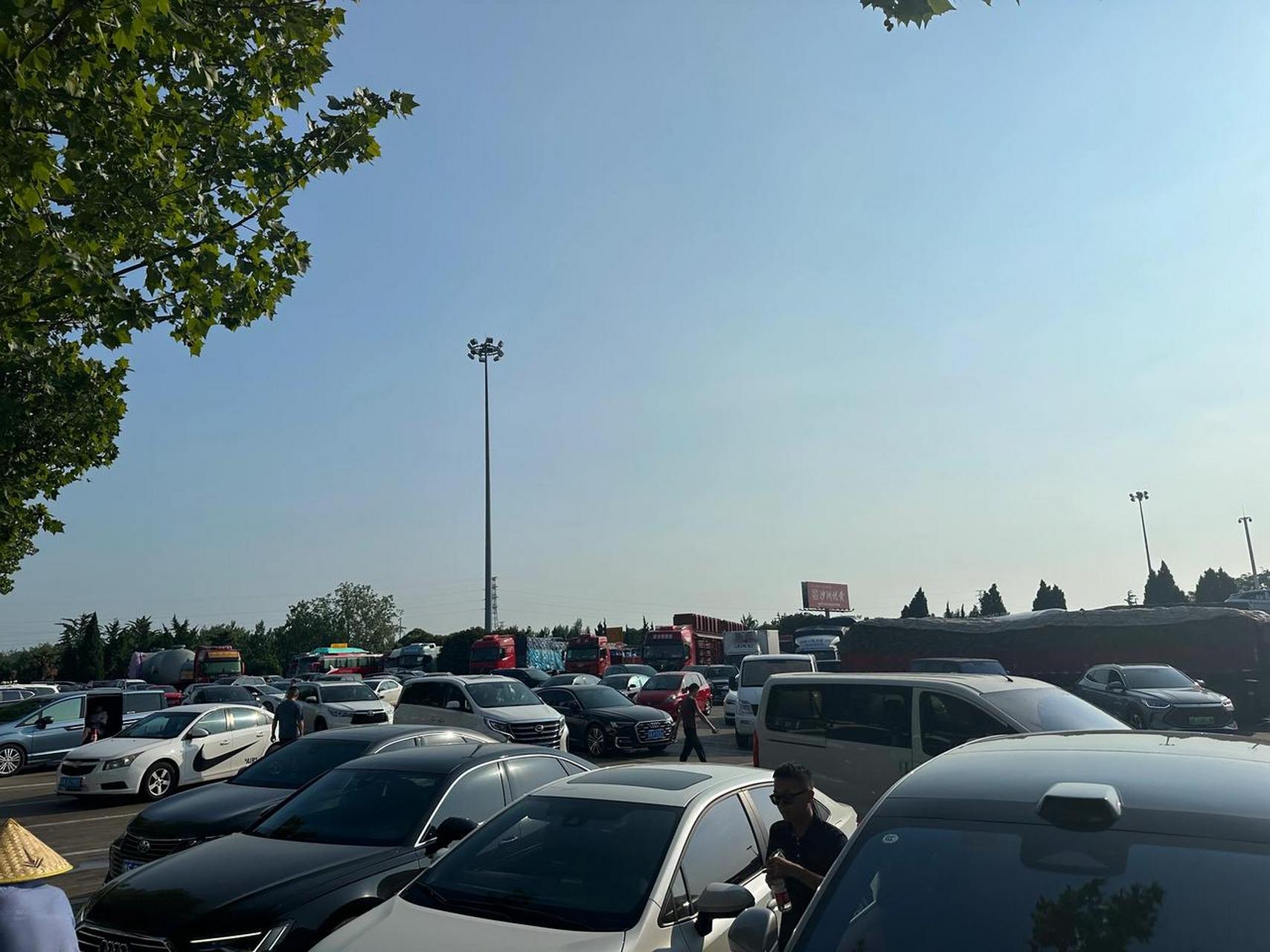 花果山服务区是猴子在管吧,停车场秩序乱糟糟的