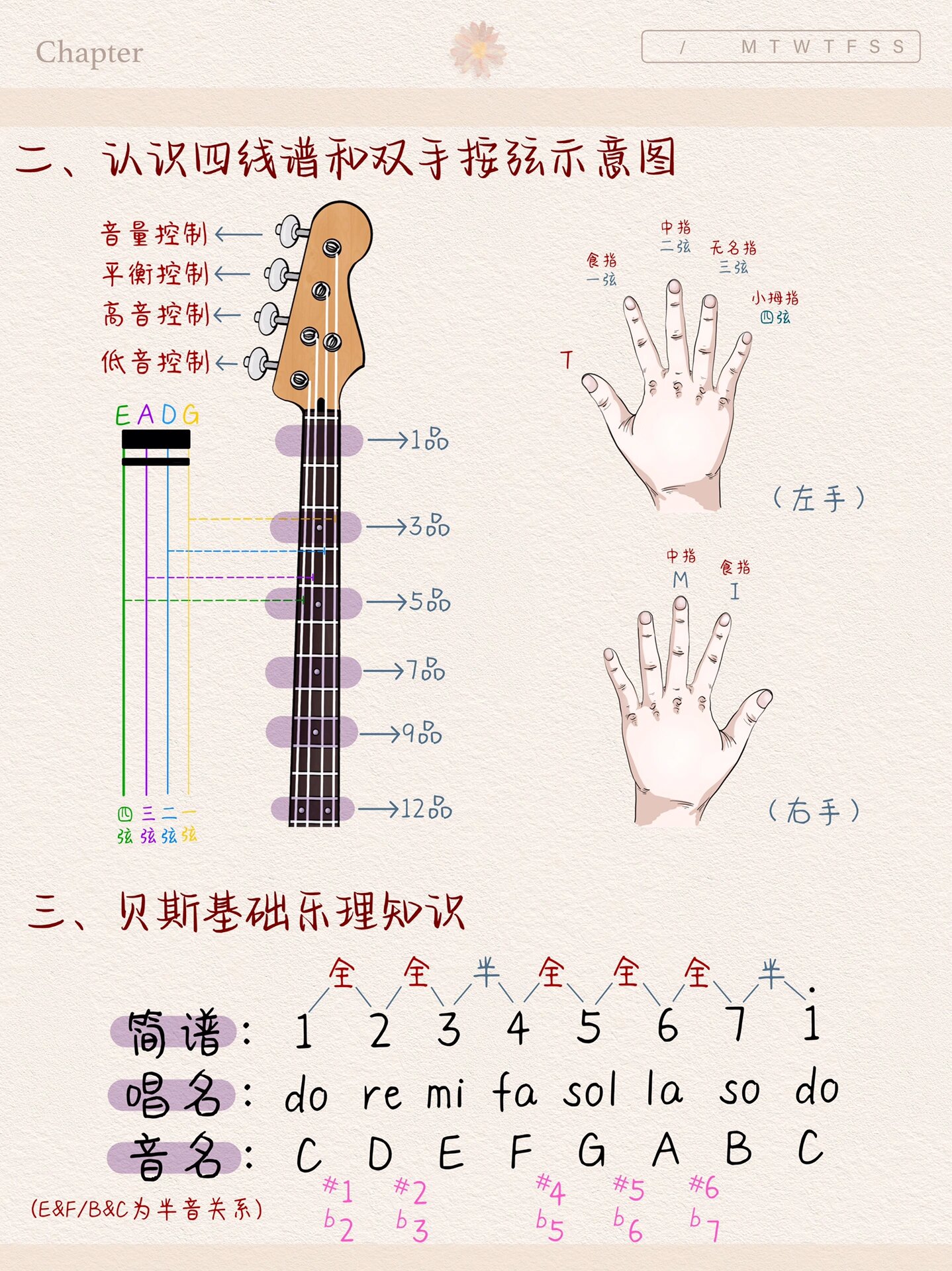 贝斯乐谱基础知识图片