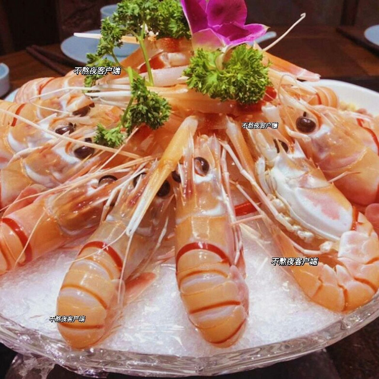 08牡丹虾可以真的成为鳌虾的平替吗?