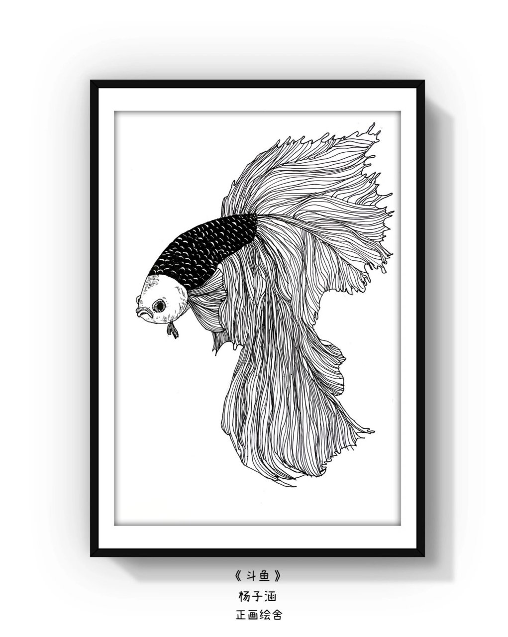 黑白线描画/《斗鱼》 斗鱼照片写生 孩子们的观察力,耐力以及线条控笔