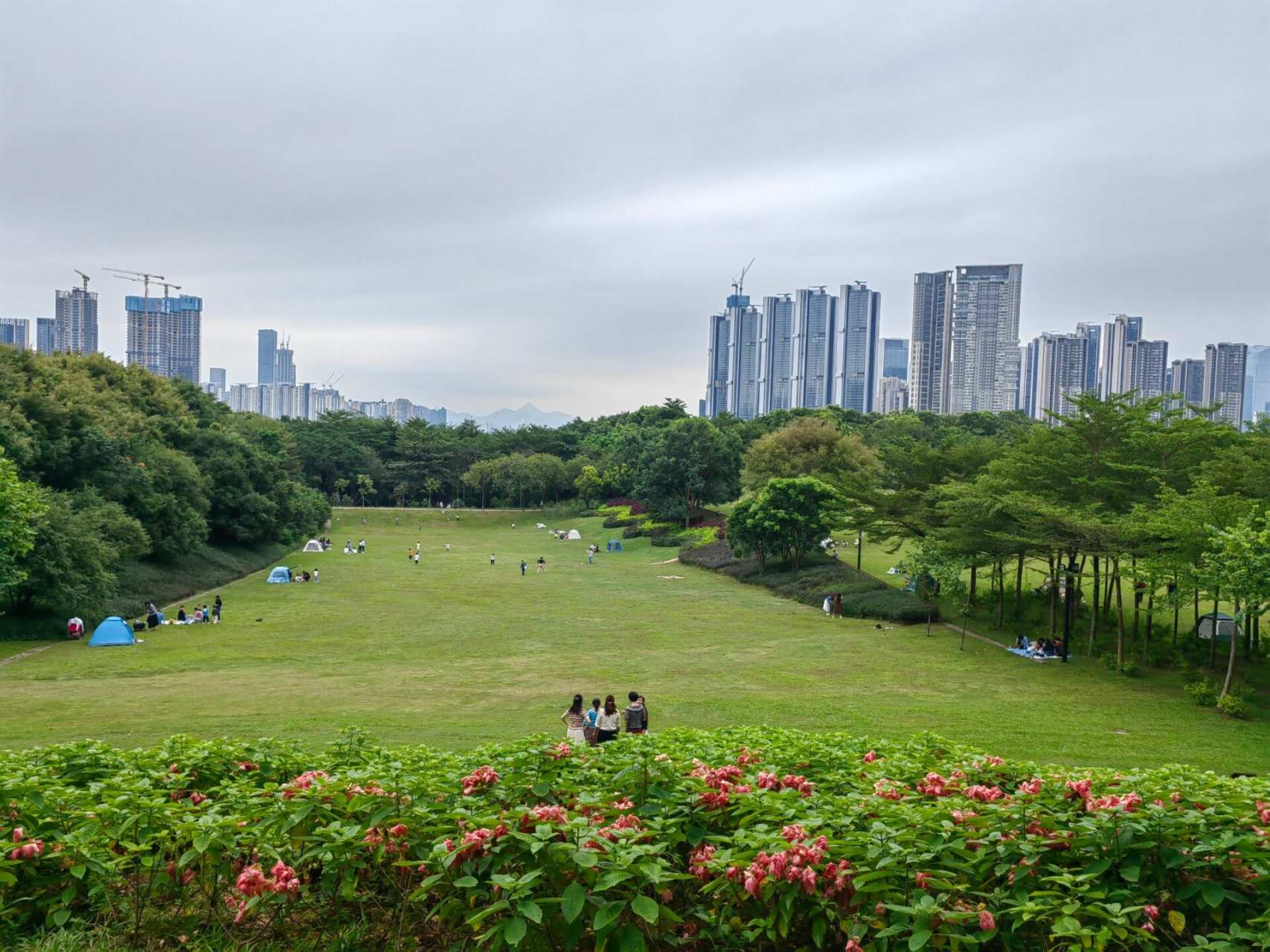 深圳沙河公园图片