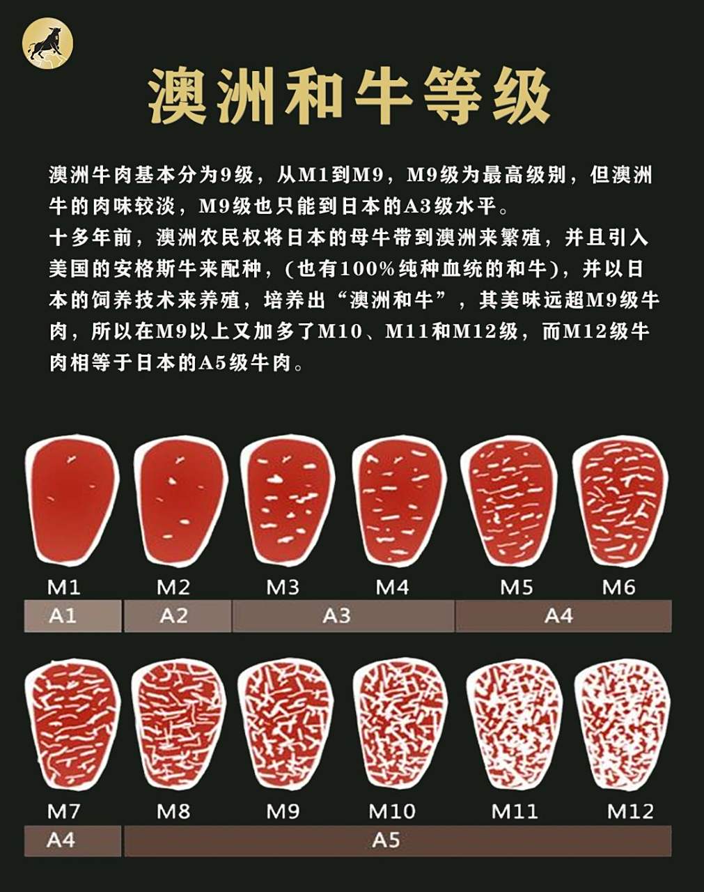澳洲和牛等级区分,主要是以脂肪分布程度为 澳洲牛肉是以依照mla 机构