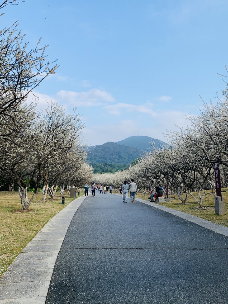 萝岗香雪公园图片