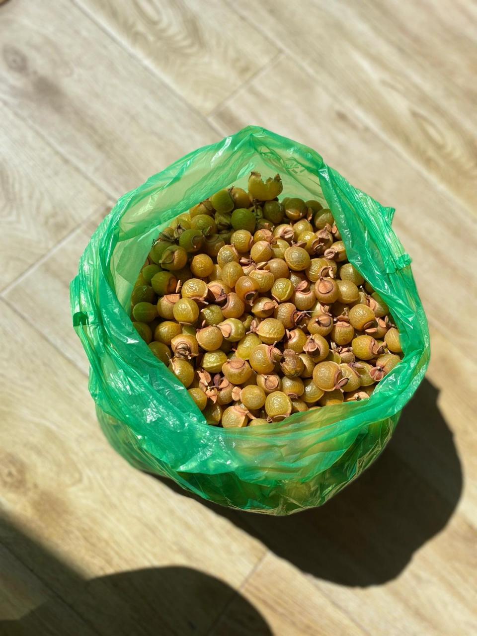 无患子树98友友们,无患子树树来啦 无患子树(学名:sapindus)四川称