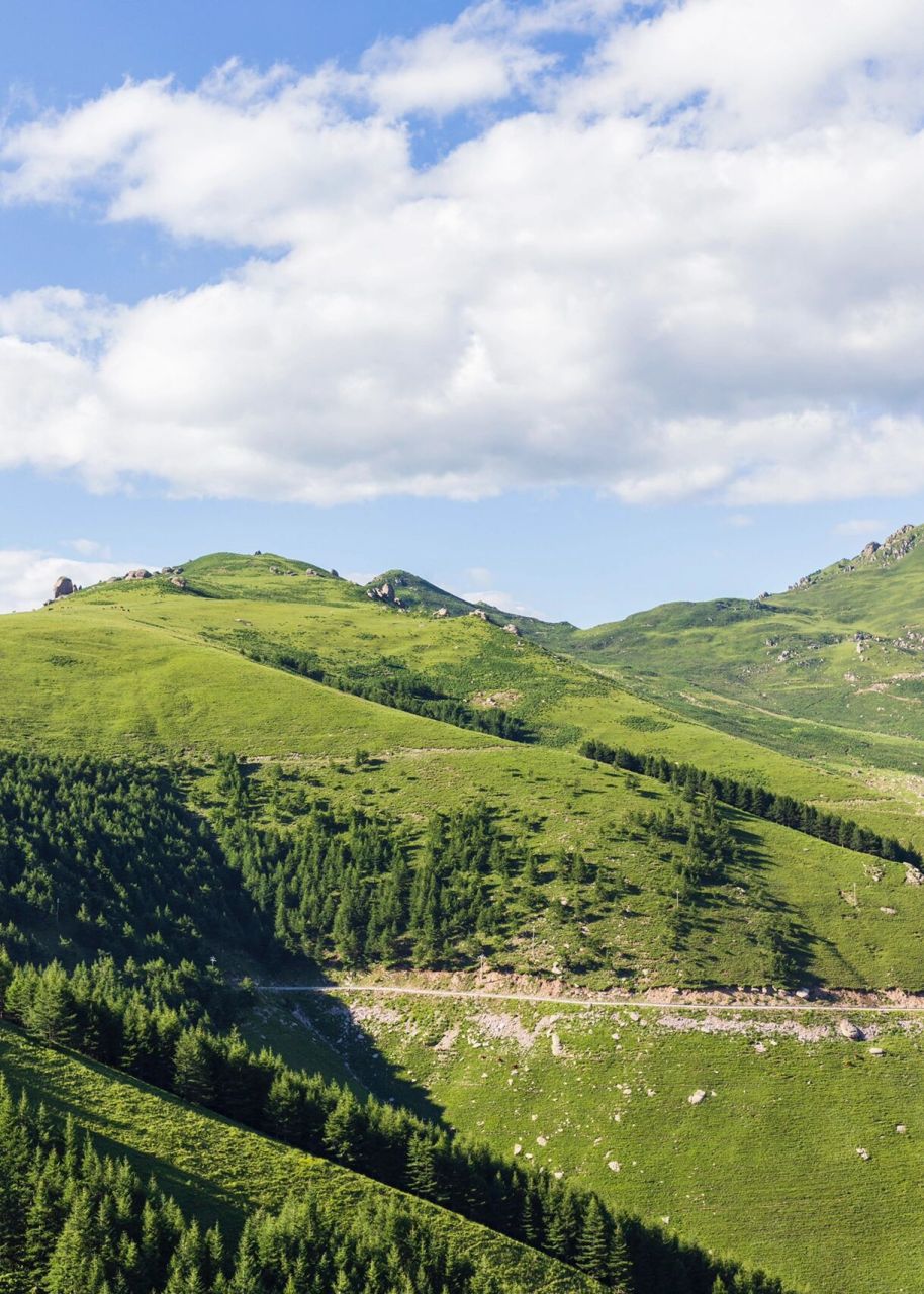 避暑好去处之 蔚县茶山  	 茶山海拔比较高,十分凉爽,景色秀丽,风景