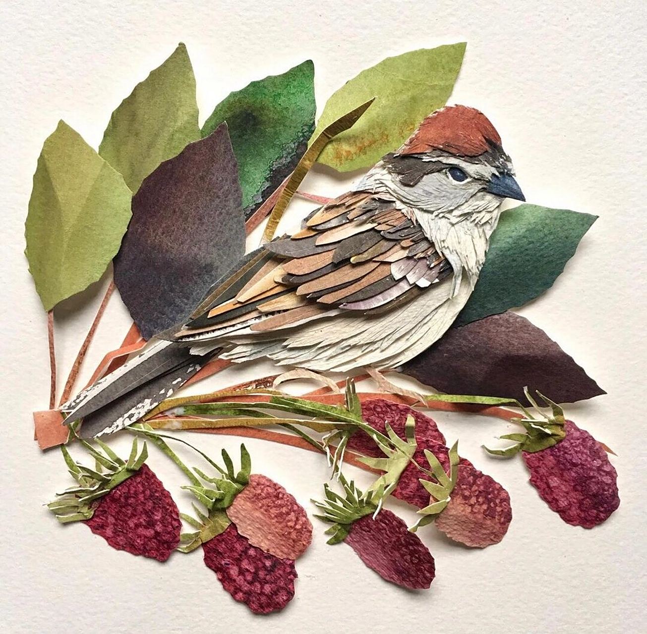 写实又立体的创意剪贴画 | 宠物鸟系列