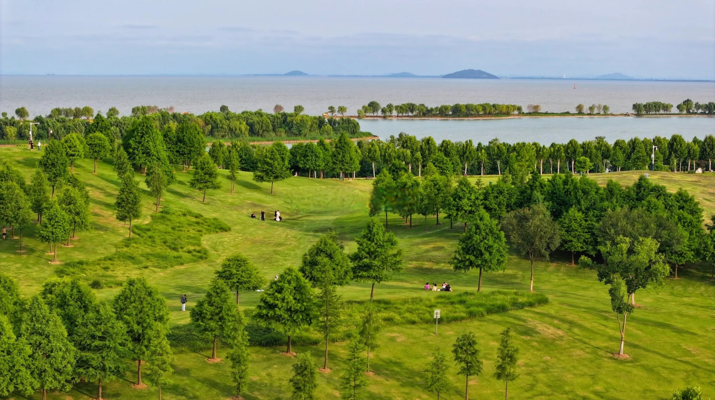 都说岸上草原是合肥版的呼伦贝尔,确实景色非常好,已经成为滨湖后花园