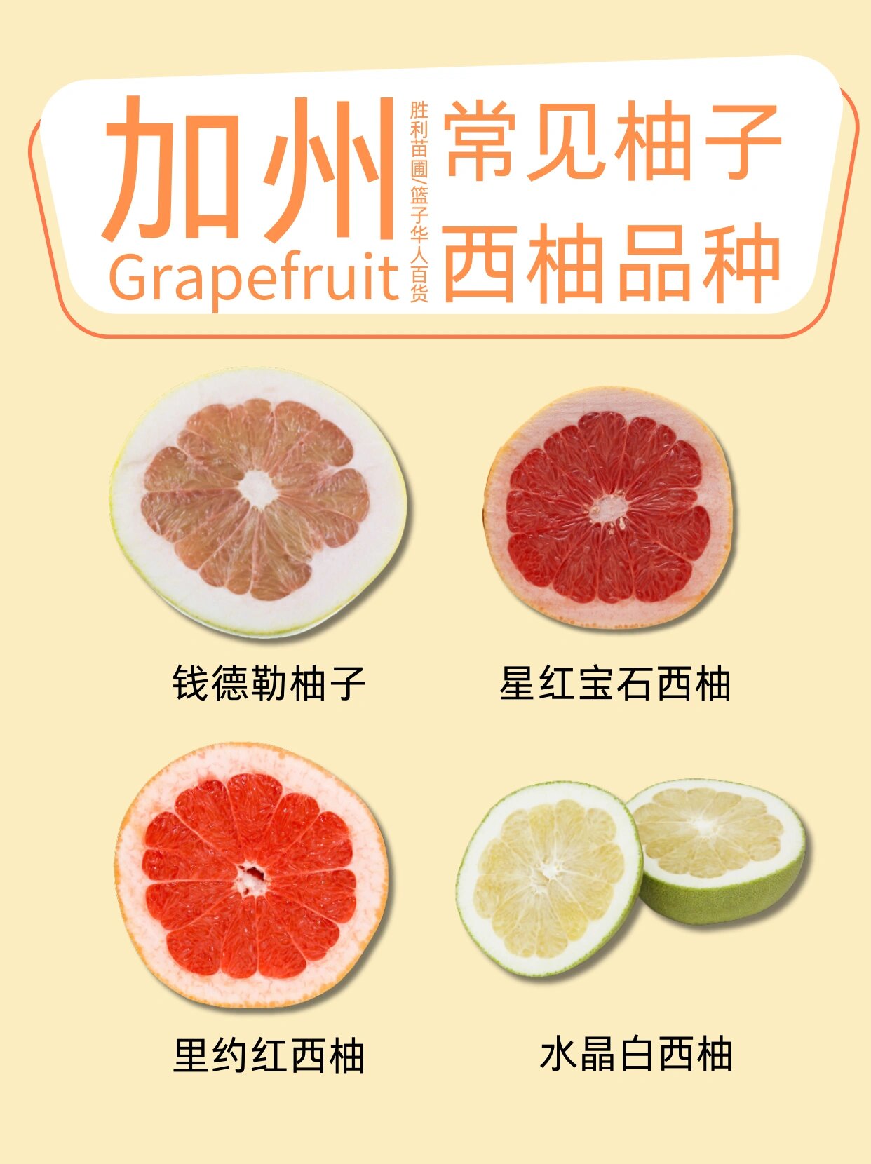 一张图带你了解柚子&西柚
