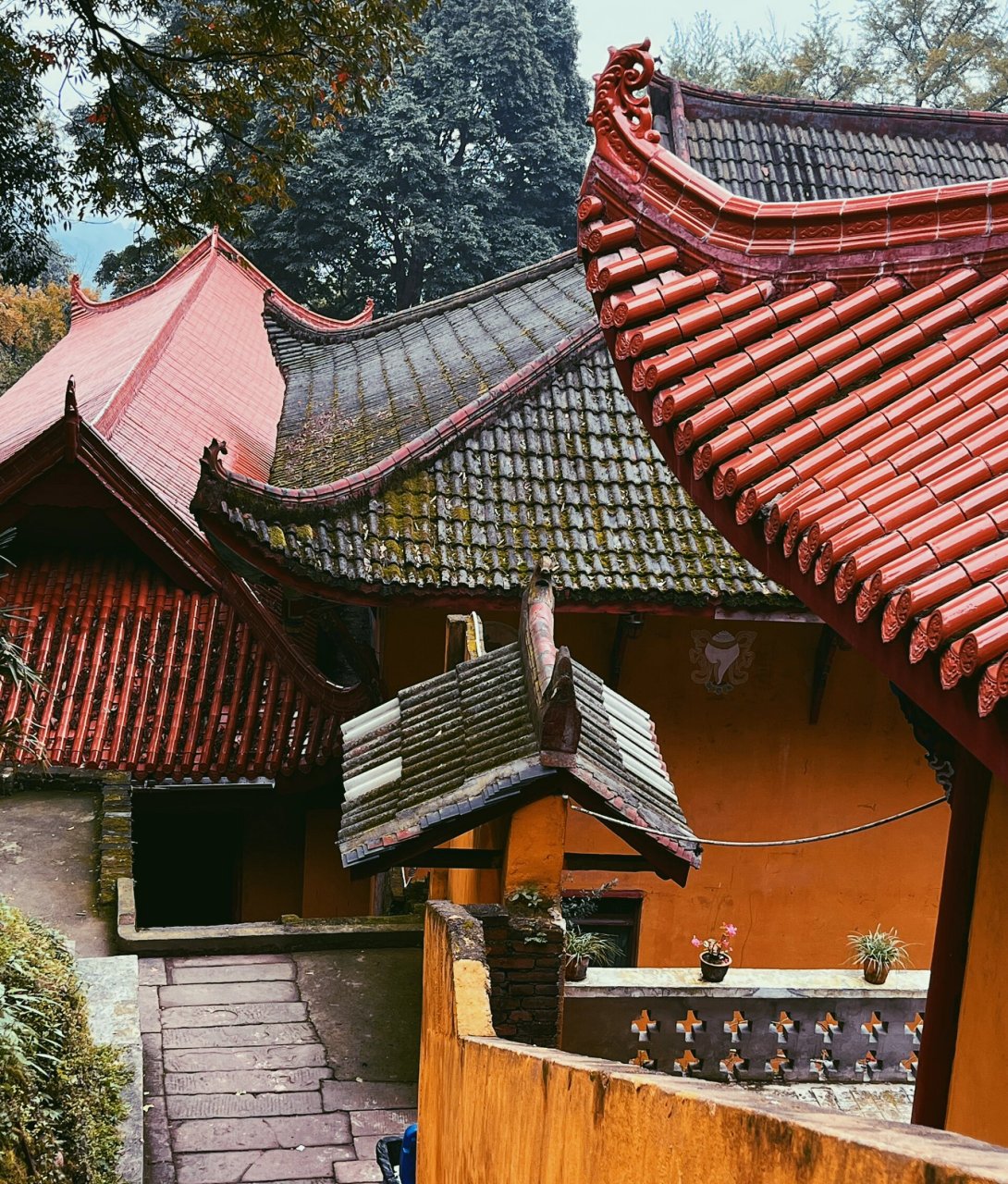 成都周边爬山日记之白岩寺 适合遛娃