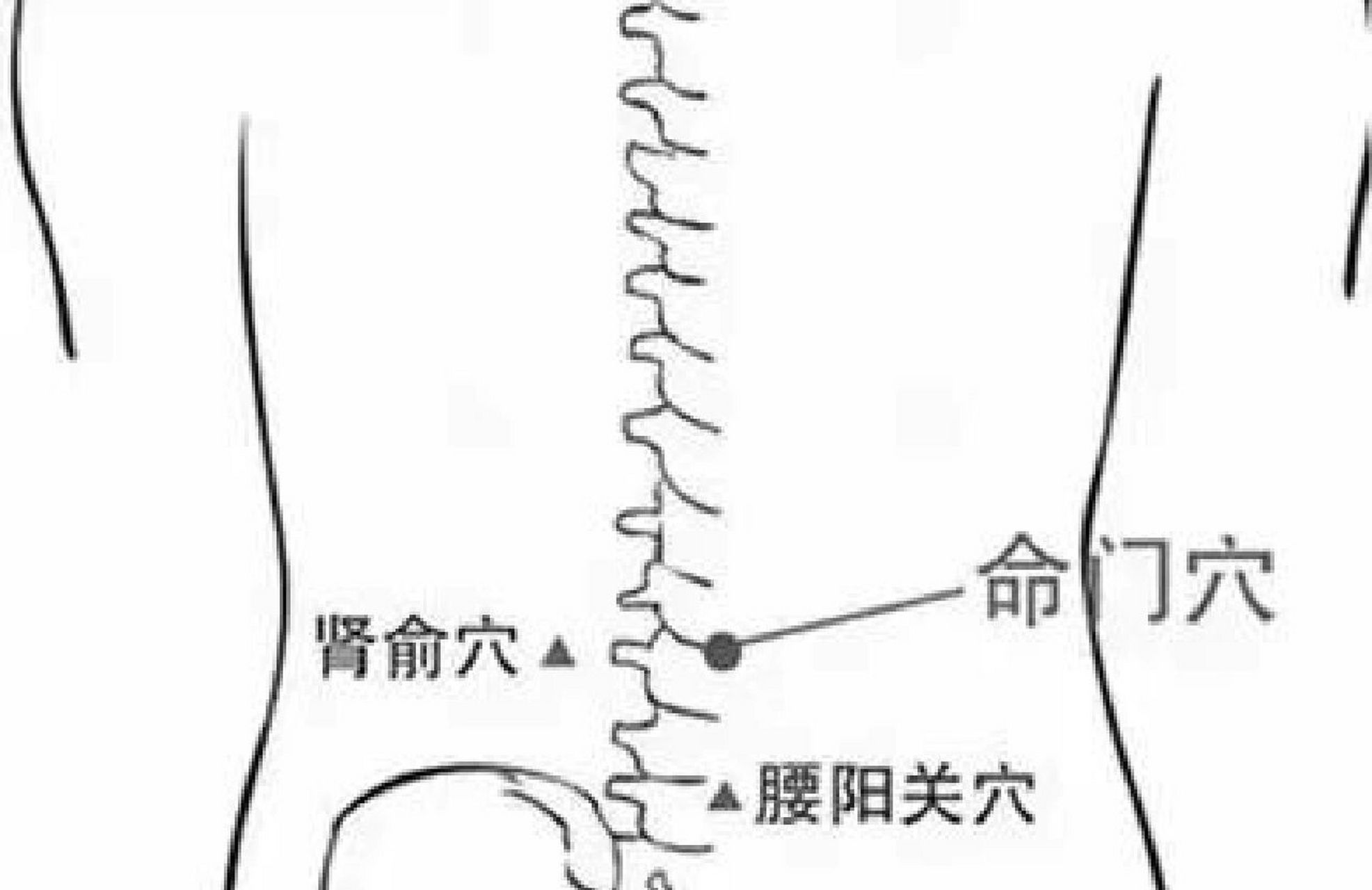 少阴俞的准确位置图片图片