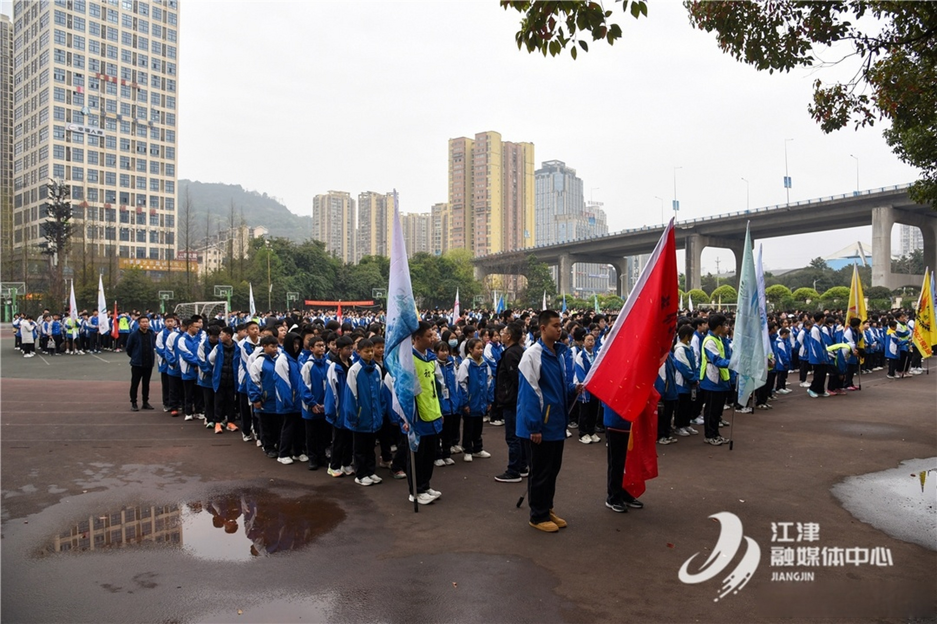 江津田家炳中学校花图片