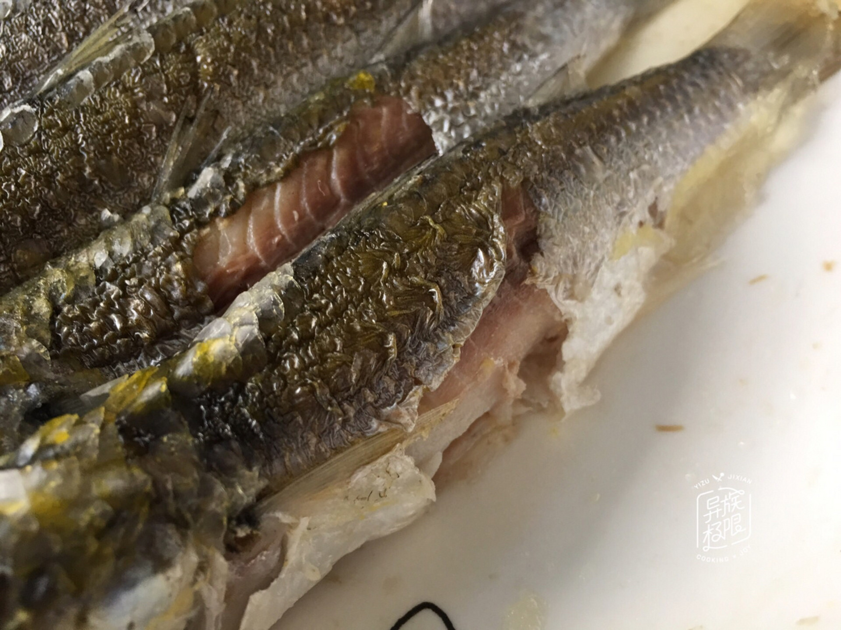 弦鱼又名白弦(前鳞骨鲻)同属鲻科,长不大的小型鱼种.