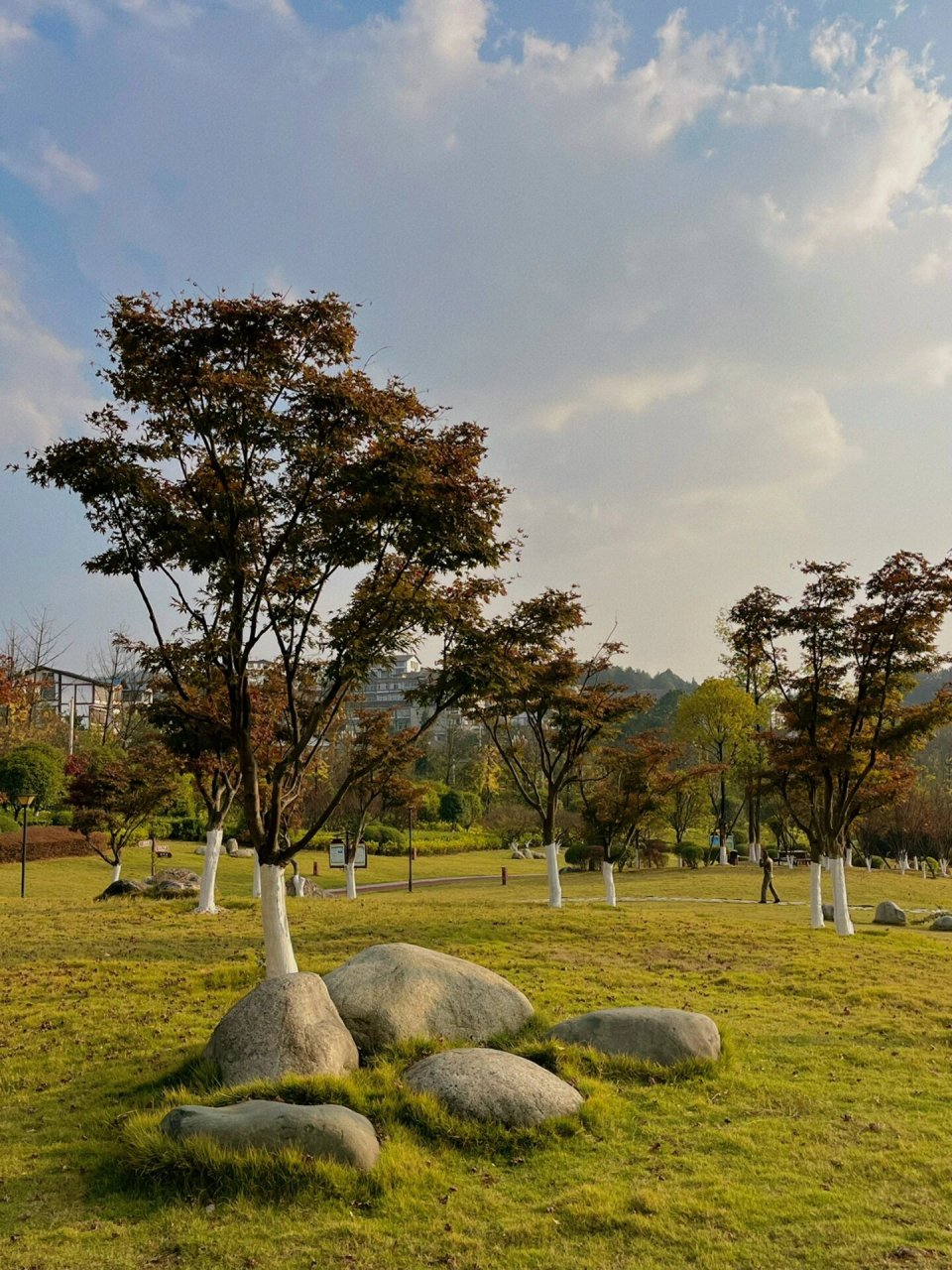 仁怀|鹿鸣公园的立冬 常年晒月光的我终于出来晒太阳了,整个人都超级