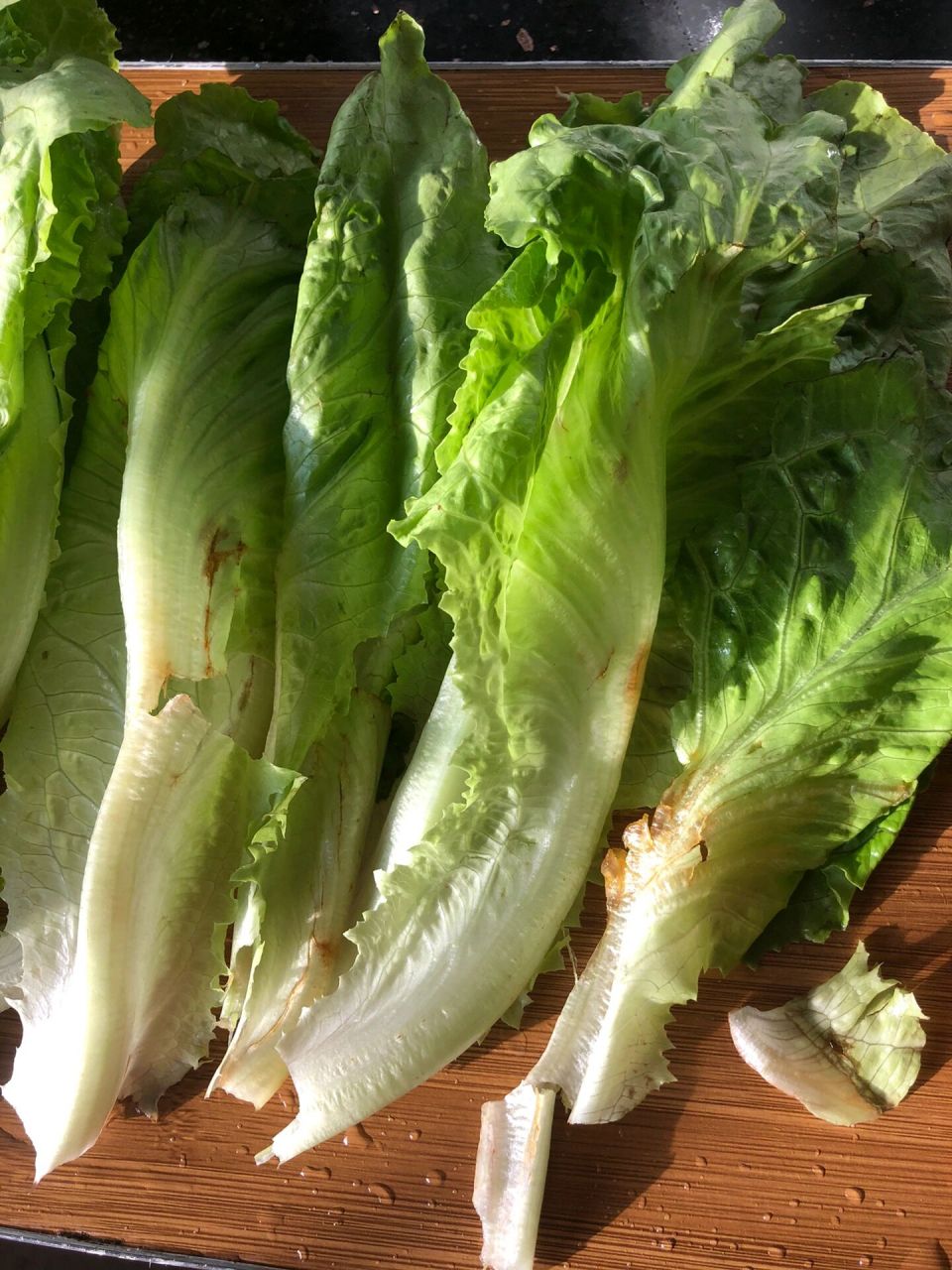 这是老公今天刚在超市买的生菜,专挑烂的?