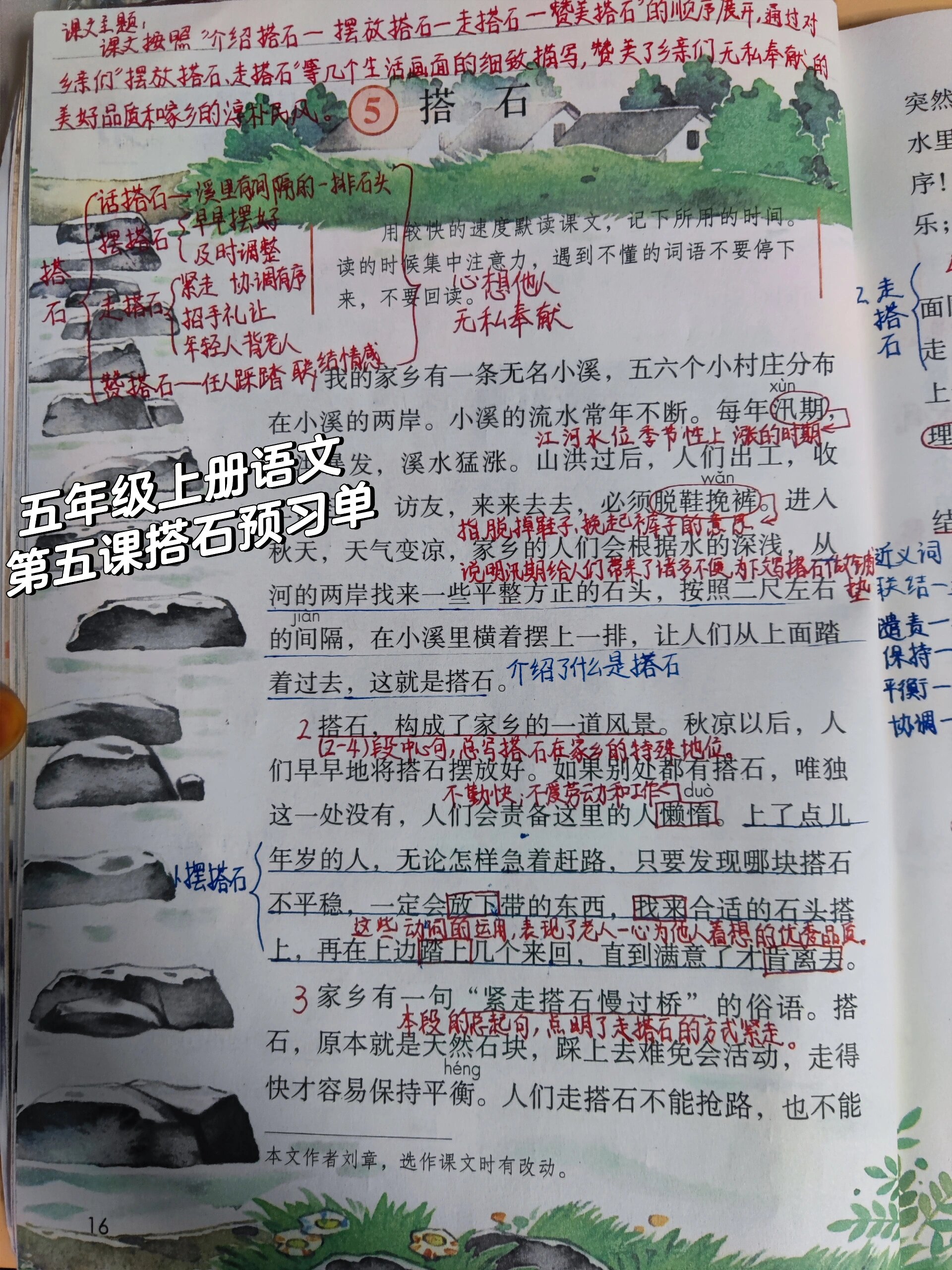 五年级上册语文第五课 搭石