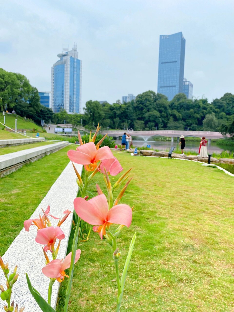 重庆公园|这个周末就来百林公园看绣球花吧 912022年6月5日 本来想