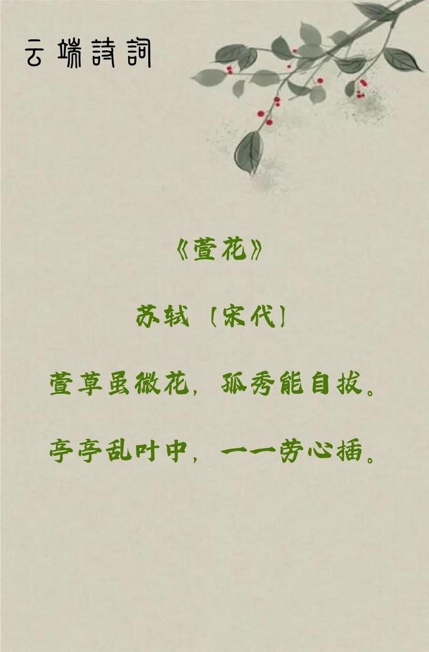 九首最美的萱草诗词,苏轼的最洗练,苏辙的最生动,王冕的最感人