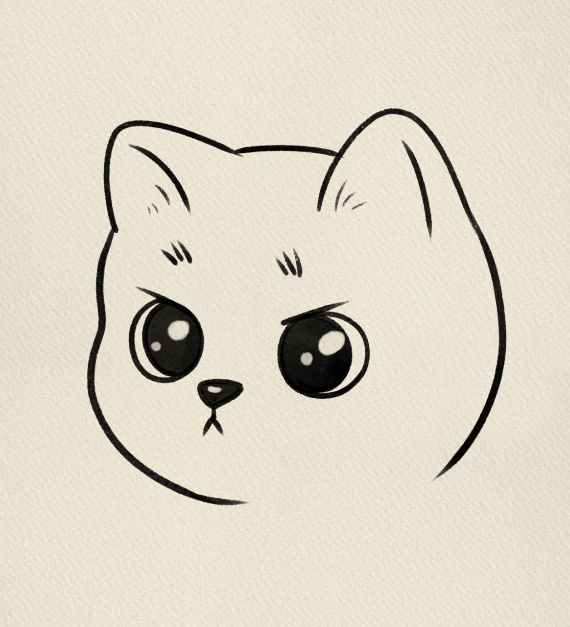 生气猫咪简笔画‖(26)       临摹