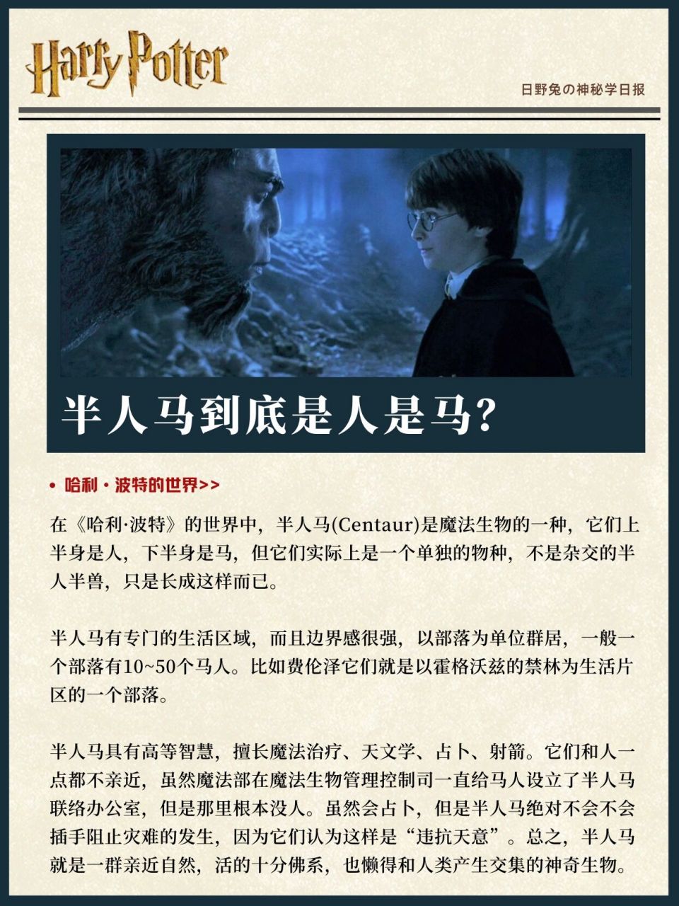 9696 如果不是费伦泽,哈利61波特在《魔法石》的禁林中初次遇到