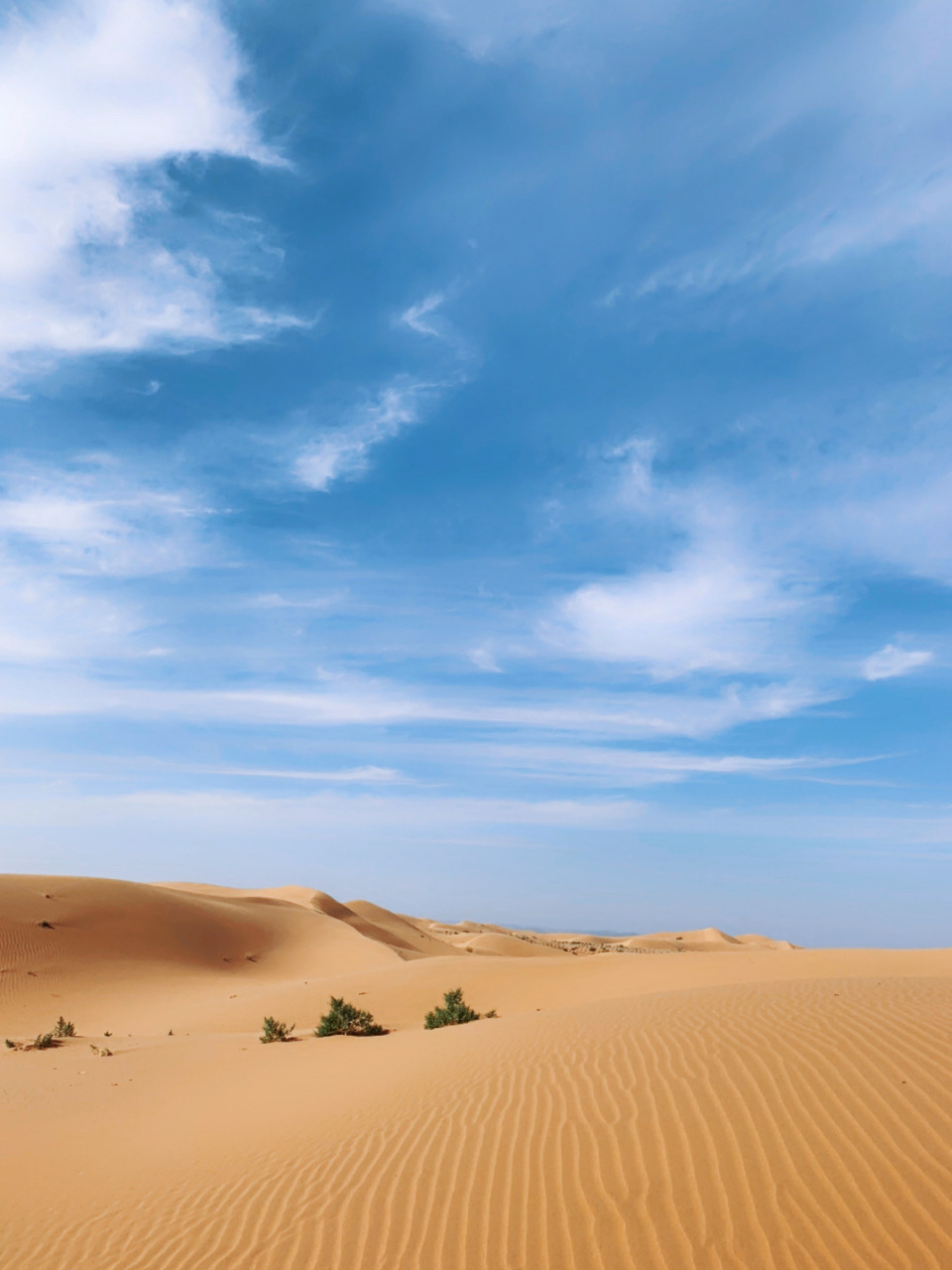 沙坡头游玩攻略 作为宁夏人的lucky今天必须给大家介绍下家乡最红的