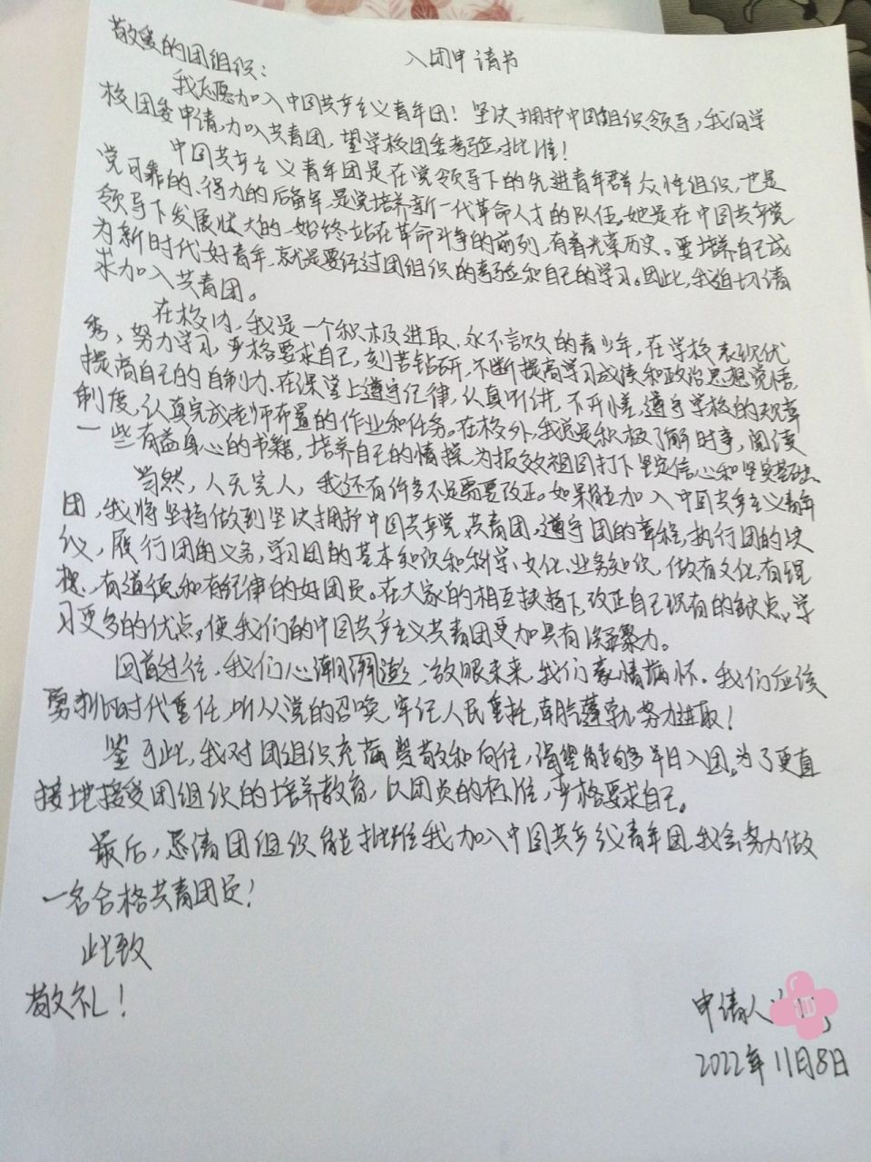 入团申请书:一张a4纸大小  紧忙抄的,比较潦草 ,为了入团真的值得