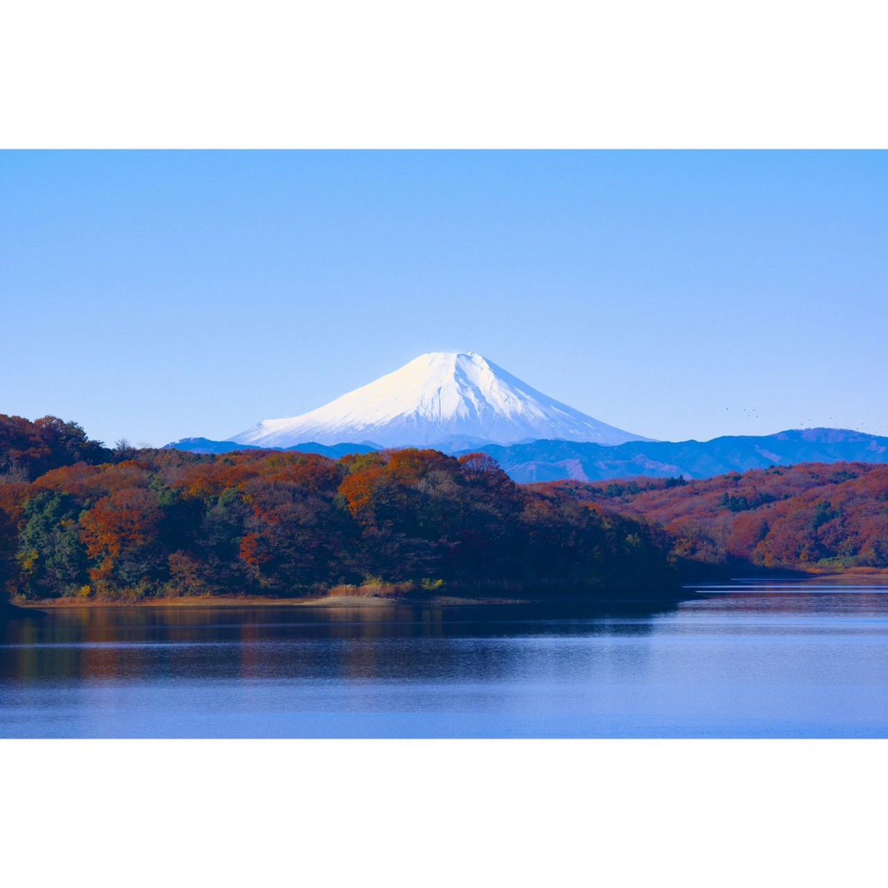关于富士山91的小秘密,你了解几个呢71 #富士山#位于日本山梨县与