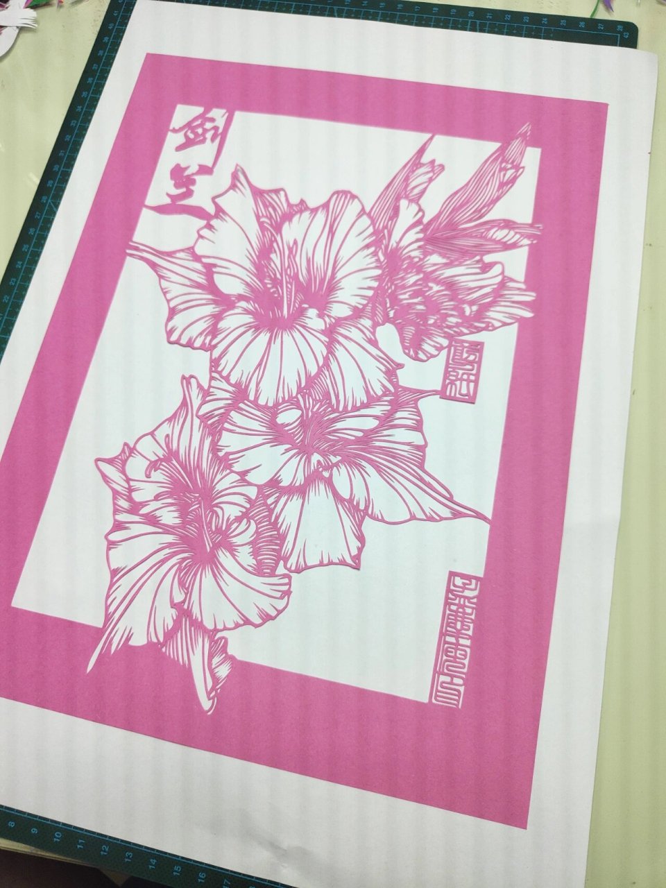 彩色花卉剪纸—剑兰(8/100) 花卉剪纸第八副作品上线了 原画稿来自