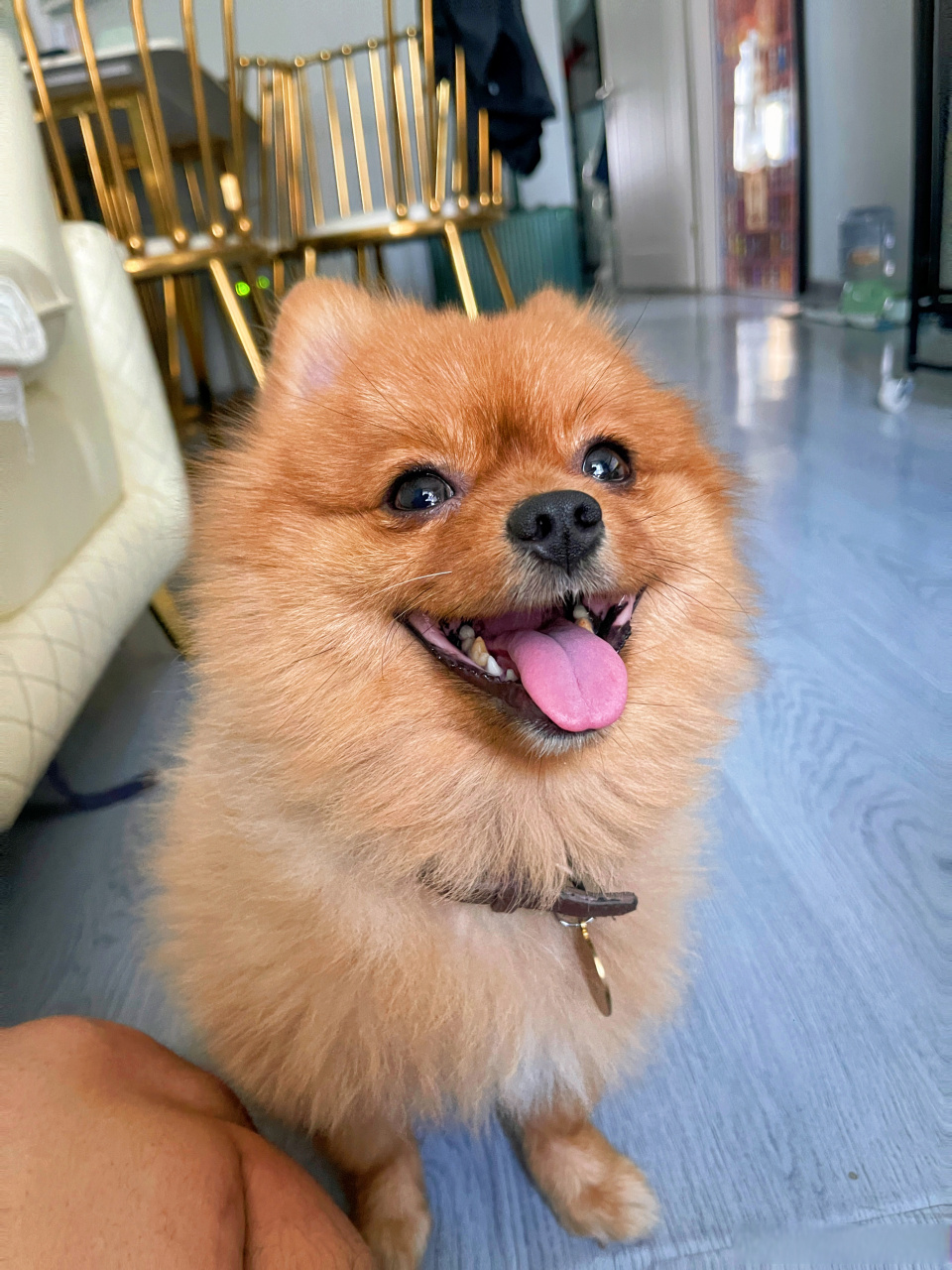 以后大家都要小心点 称呼我请称呼"最美伊宁人多雷" 望周知