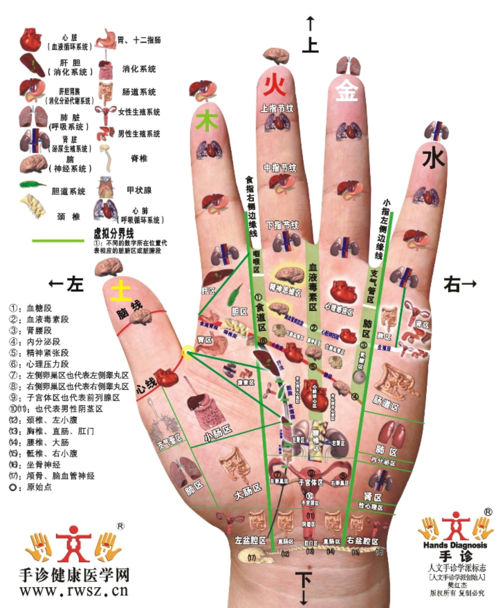 手疗的穴位图.分享给大家