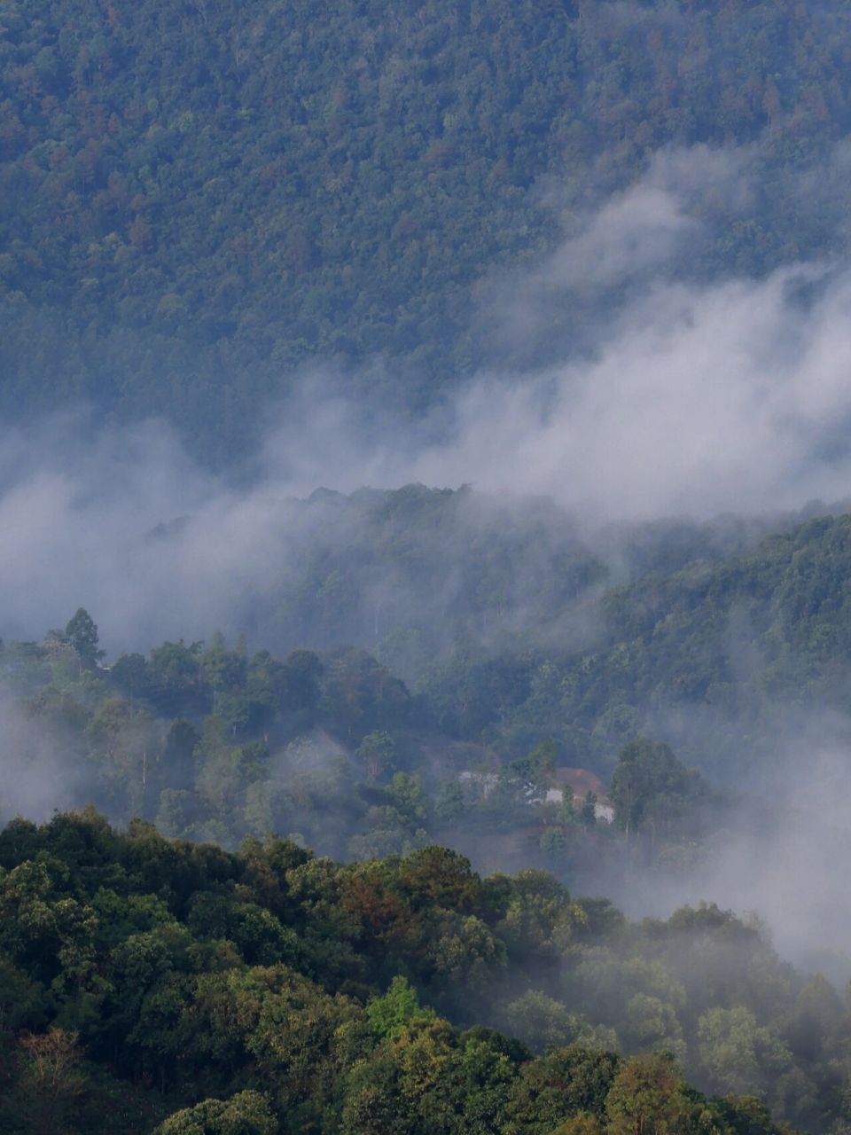 景迈山深度游之一:云海,夕阳,茶山,古寨 云南普洱景迈山,有历史千年的