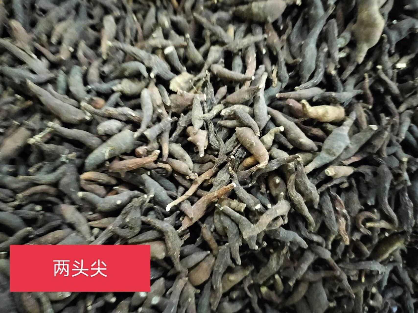 每日懂点中药～两头尖 两头尖是一种中草药.