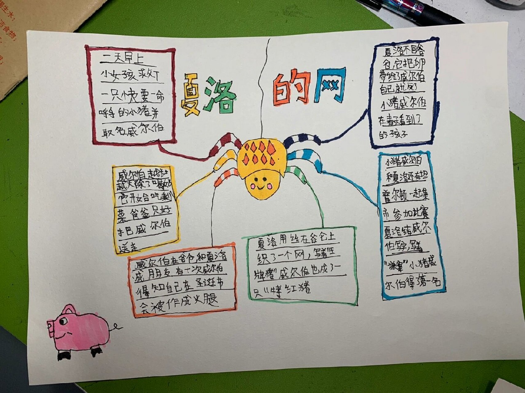 夏洛的网思维导图