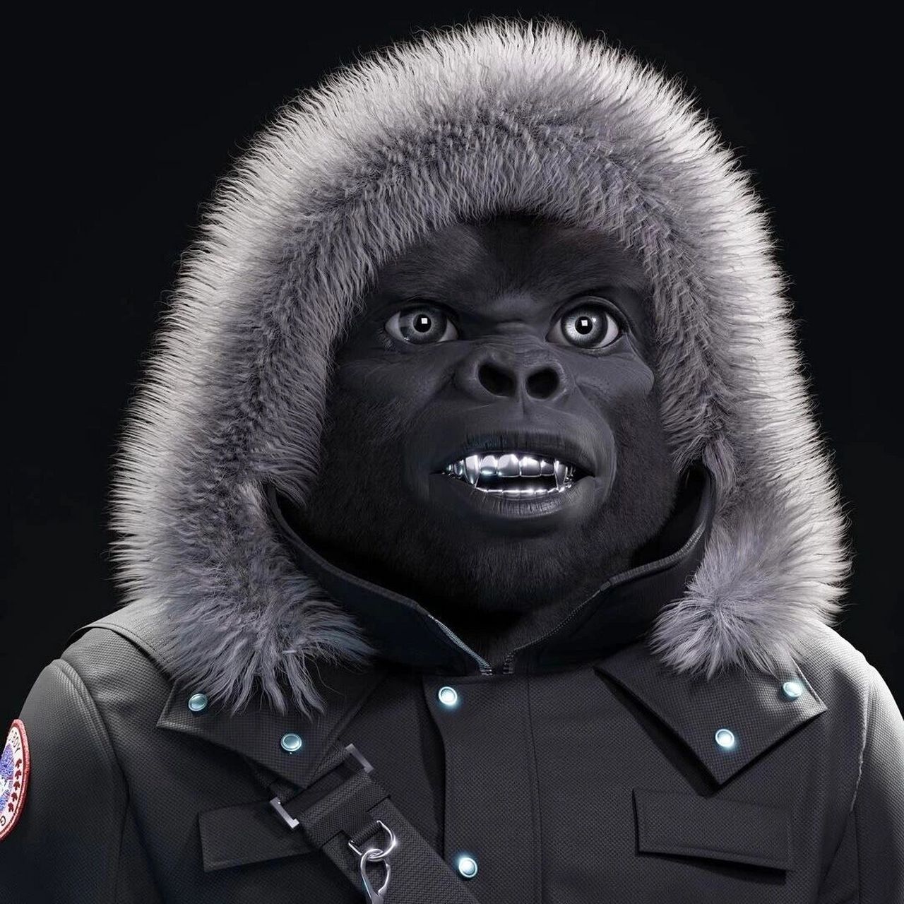 大猩猩系列头像