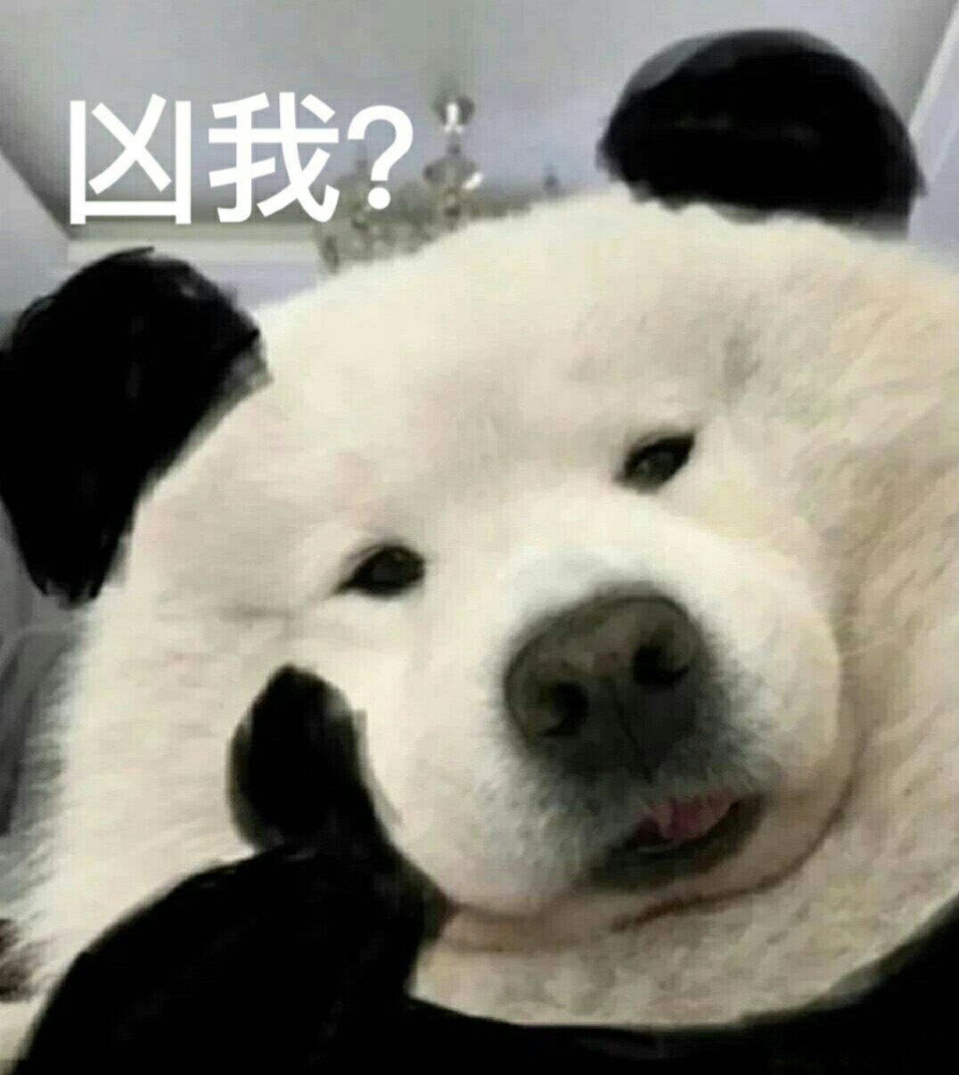 微信表情包/萨摩耶小熊猫/可爱/沙雕