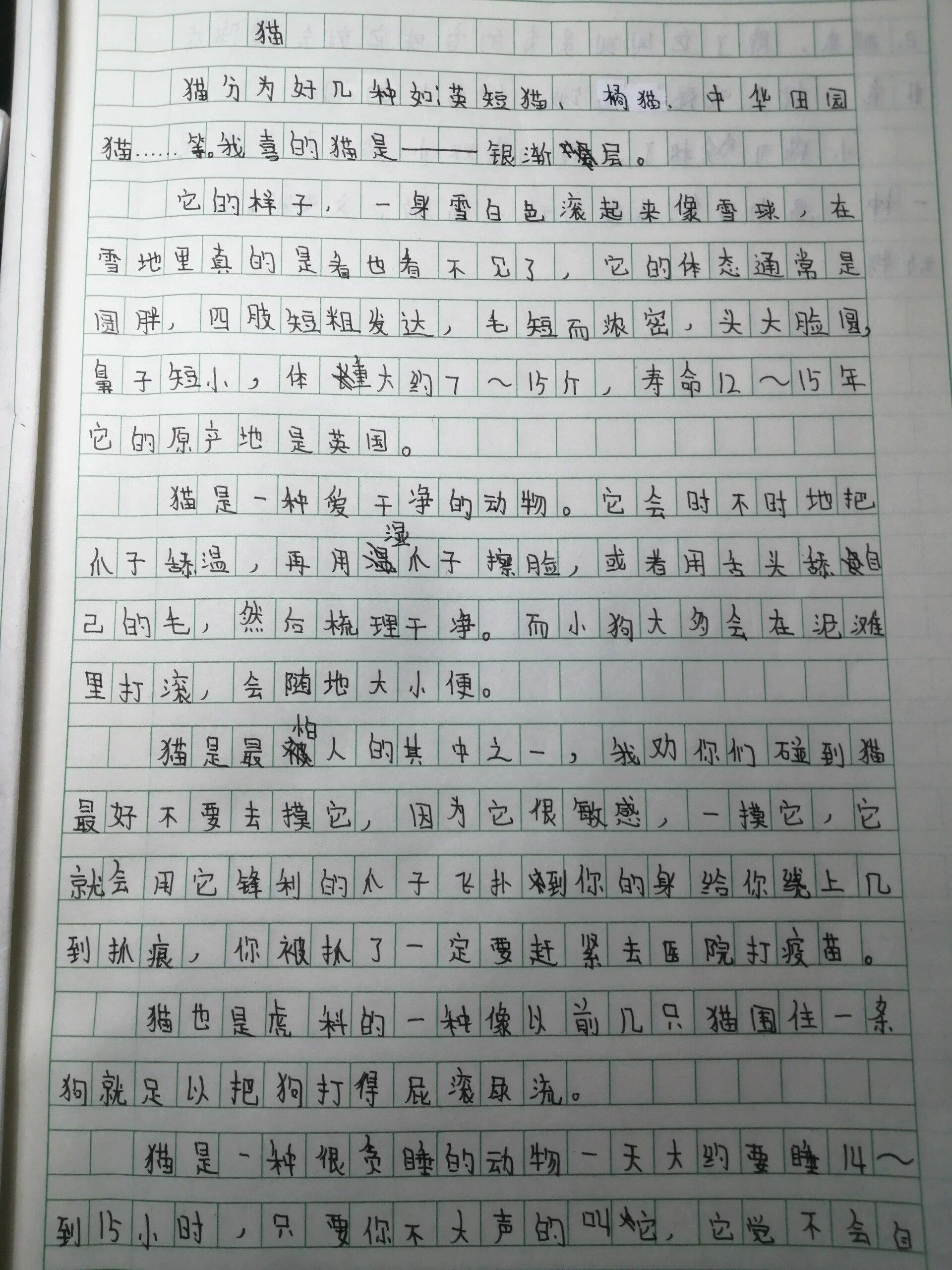 说明文450字图片