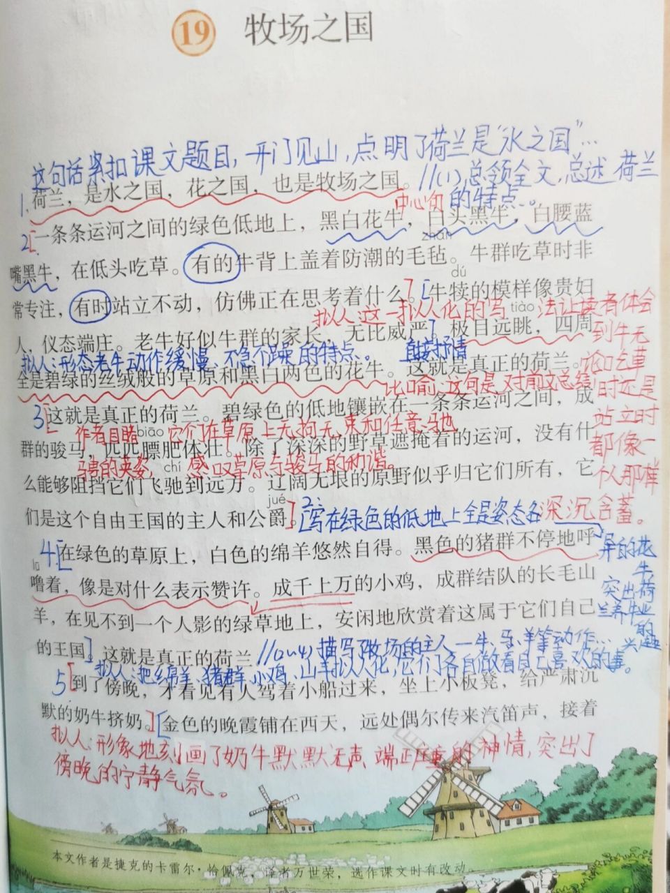 五年级下册语文第19课《牧场之国》笔记 9797