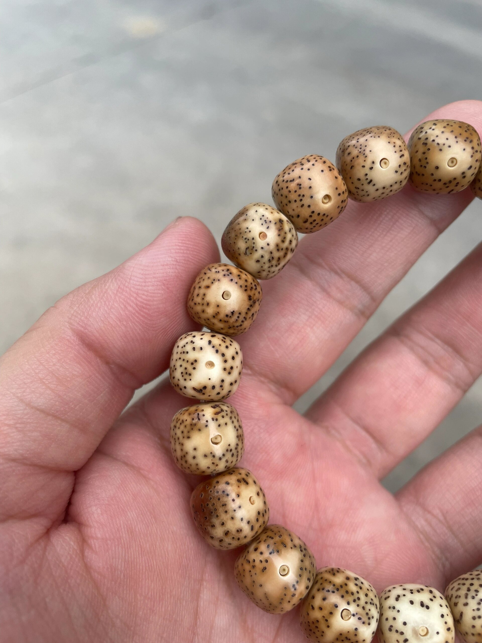火烧云星月金花虎皮  11.5×10.