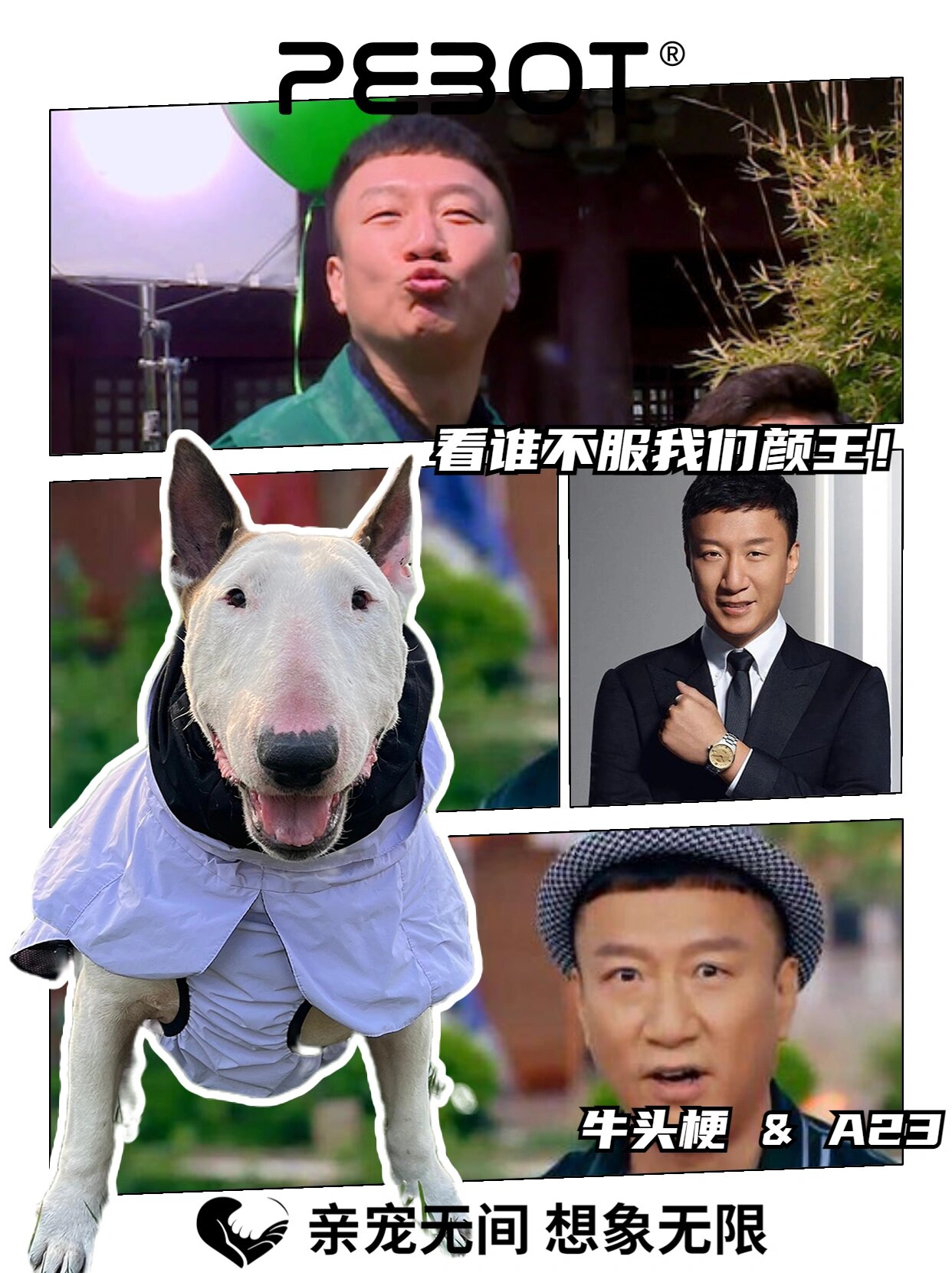 那些撞脸明星脸的狗狗们 亲宠无间 想象无限 91本期话题:你觉得你家