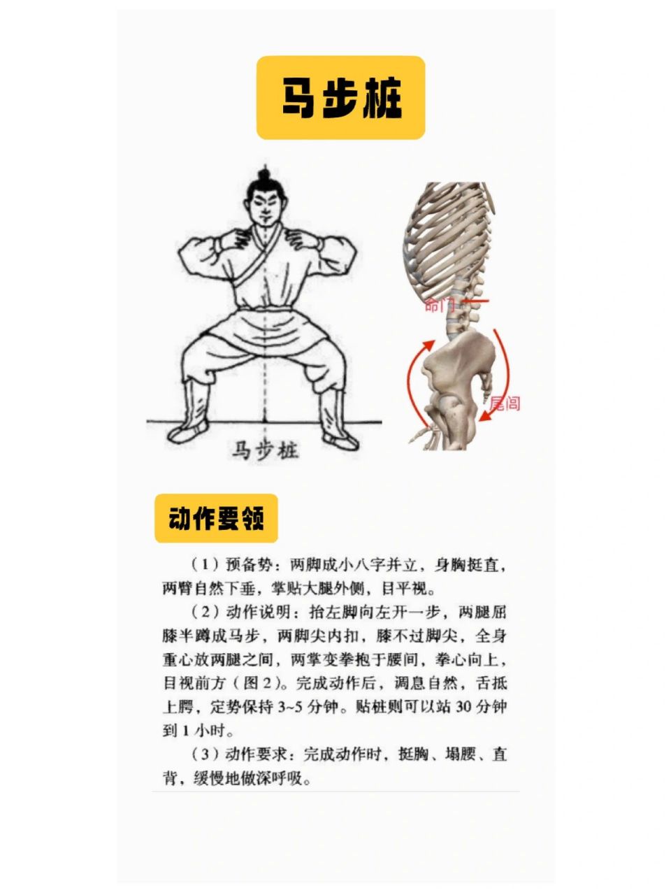 站桩入门|必练马步桩  	 四平马步桩功,姿势低平,功架开展,强度较大.