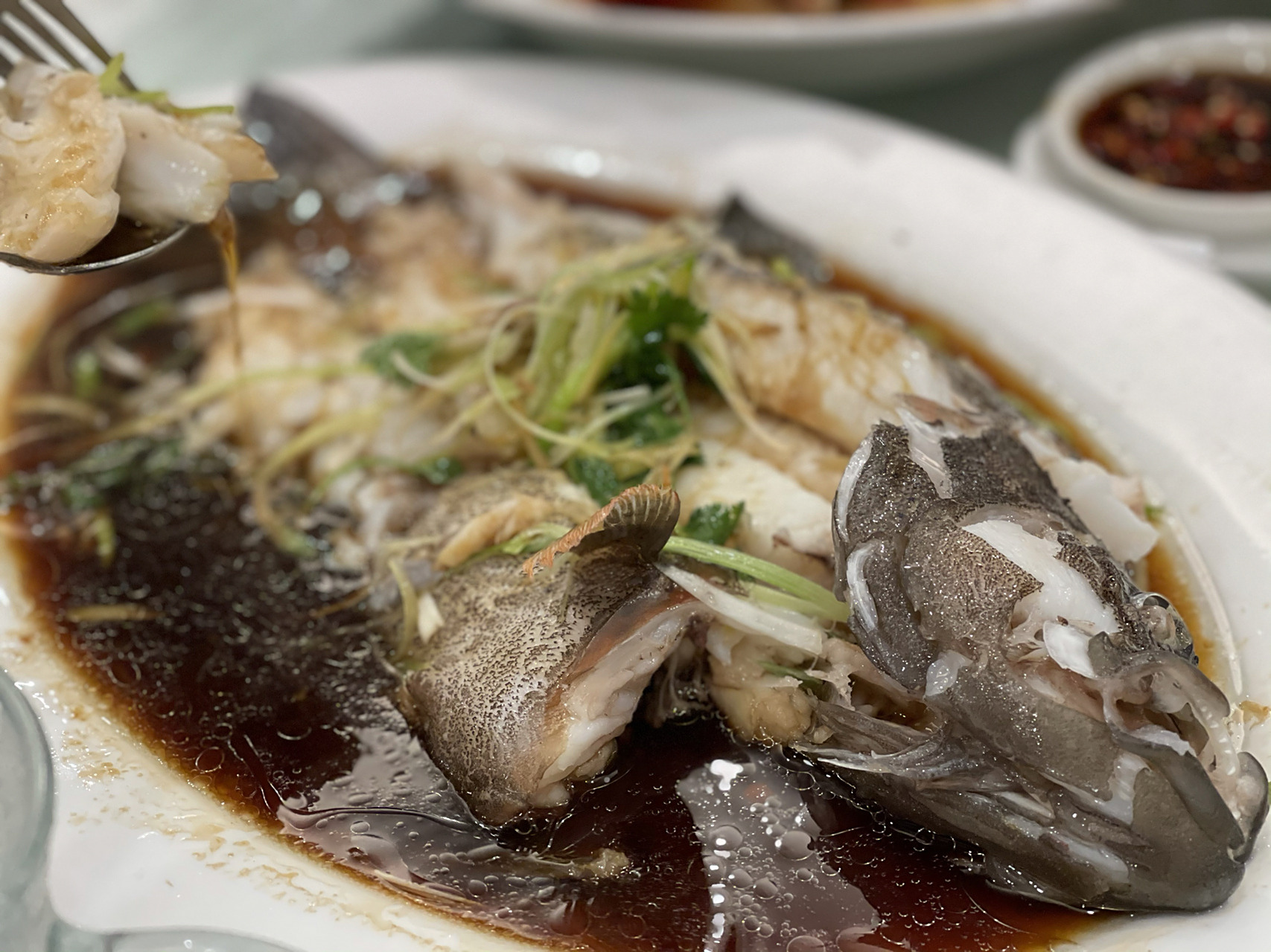 生吃澳洲龙虾02-你敢吃图二的虾脑嘛 生吃  没错!