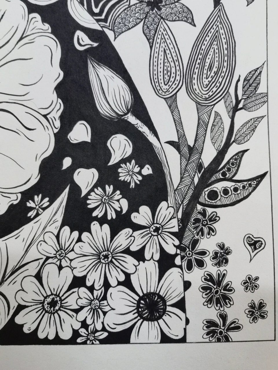 花卉装饰画 视觉传达设计作业 植物黑白装饰画 点线面装饰画