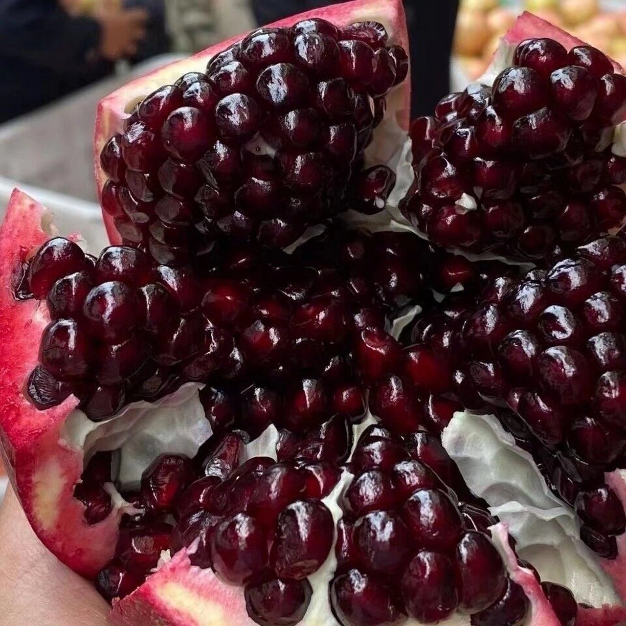 黑珍珠软籽酸甜石榴,喜上枝头95 突尼斯黑珍珠酸甜石榴 和甜石榴的