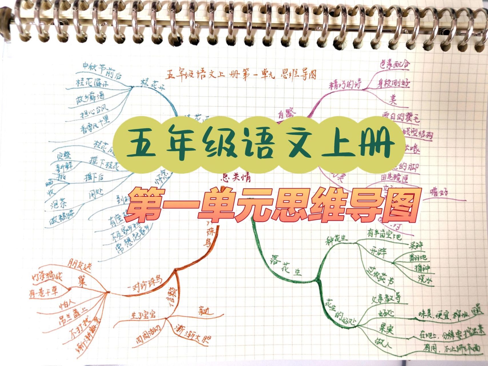 白鹭的思维导图简单图片