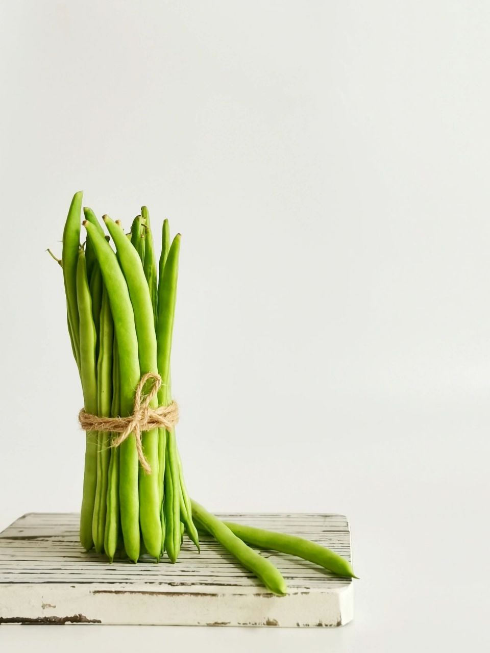 繪畫素材:四季豆 四季豆含有豐富的微量元素及膳食纖維,一定要炒熟炒