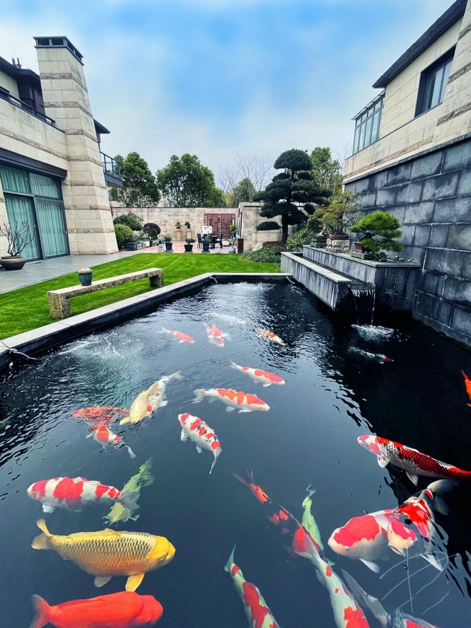 各种漂亮的锦鲤鱼池素材,太有用了 今天有一位客户要建锦鲤鱼池,问我